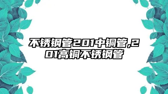 不銹鋼管201中銅管,201高銅不銹鋼管