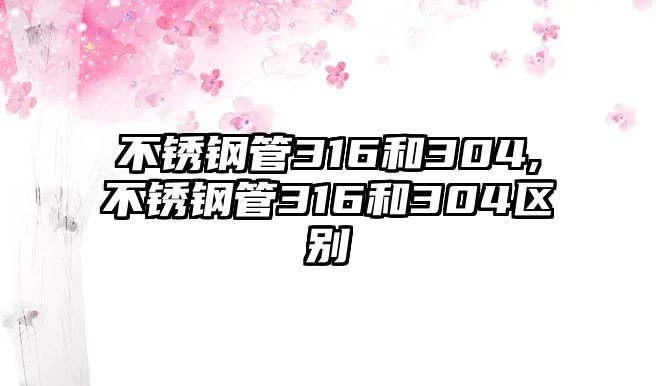 不銹鋼管316和304,不銹鋼管316和304區(qū)別