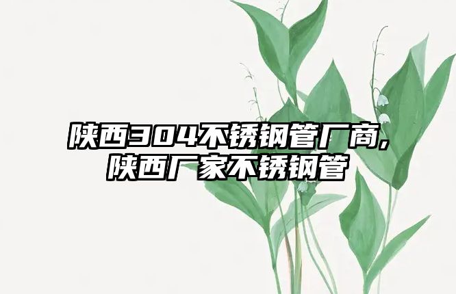 陜西304不銹鋼管廠商,陜西廠家不銹鋼管