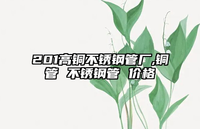 201高銅不銹鋼管廠,銅管 不銹鋼管 價格