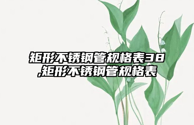 矩形不銹鋼管規(guī)格表38,矩形不銹鋼管規(guī)格表