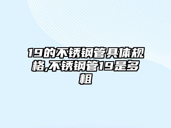 19的不銹鋼管具體規(guī)格,不銹鋼管19是多粗