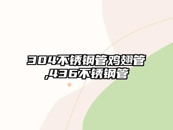 304不銹鋼管雞翅管,436不銹鋼管